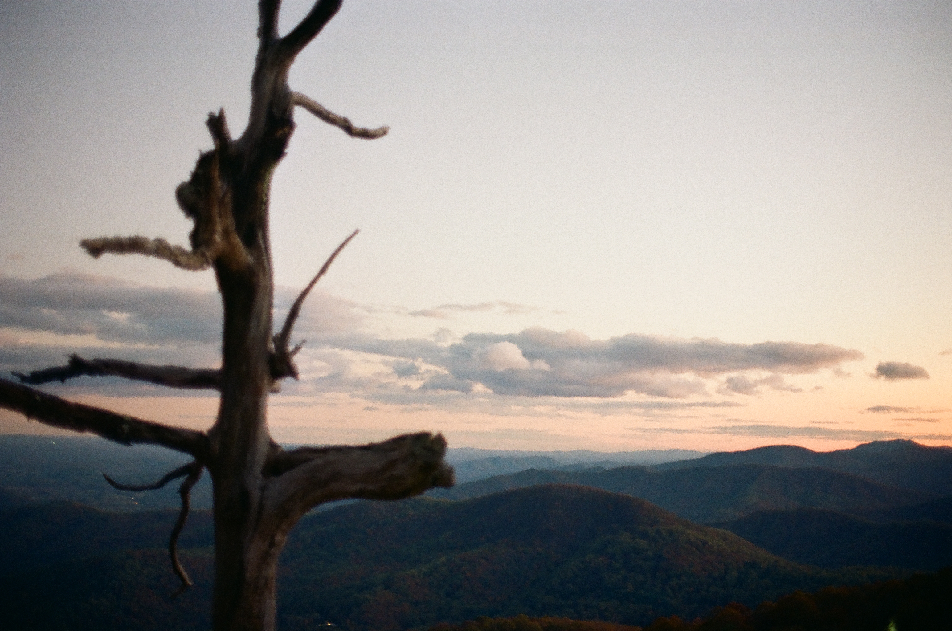 Bare, twisted branches of a dead tree stand in silhouette beside layered mountain ridges under a pastel evening sky.