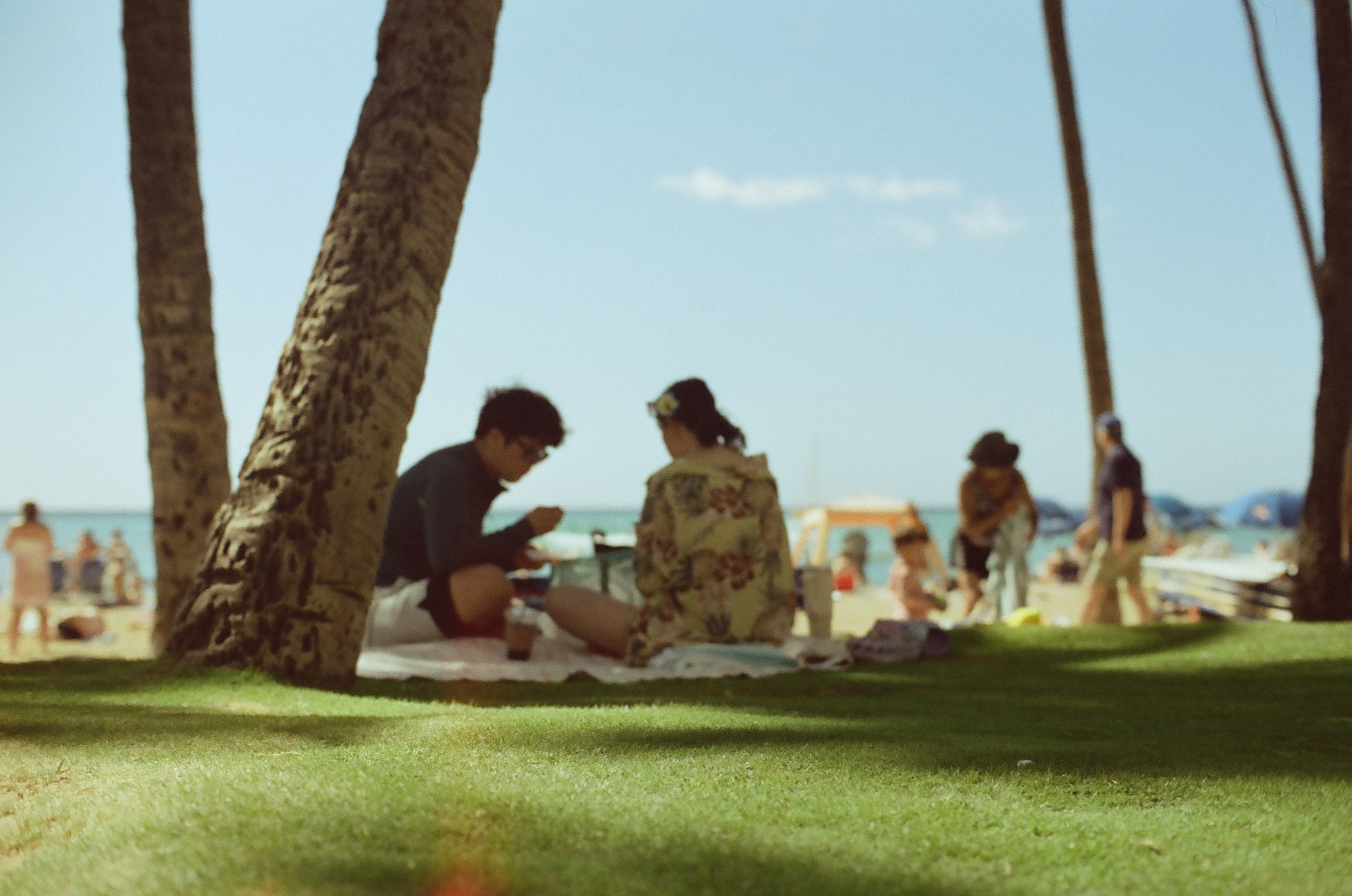 Two people sit on grass beneath palm trunks with beachgoers, pale sand, and blue water beyond.