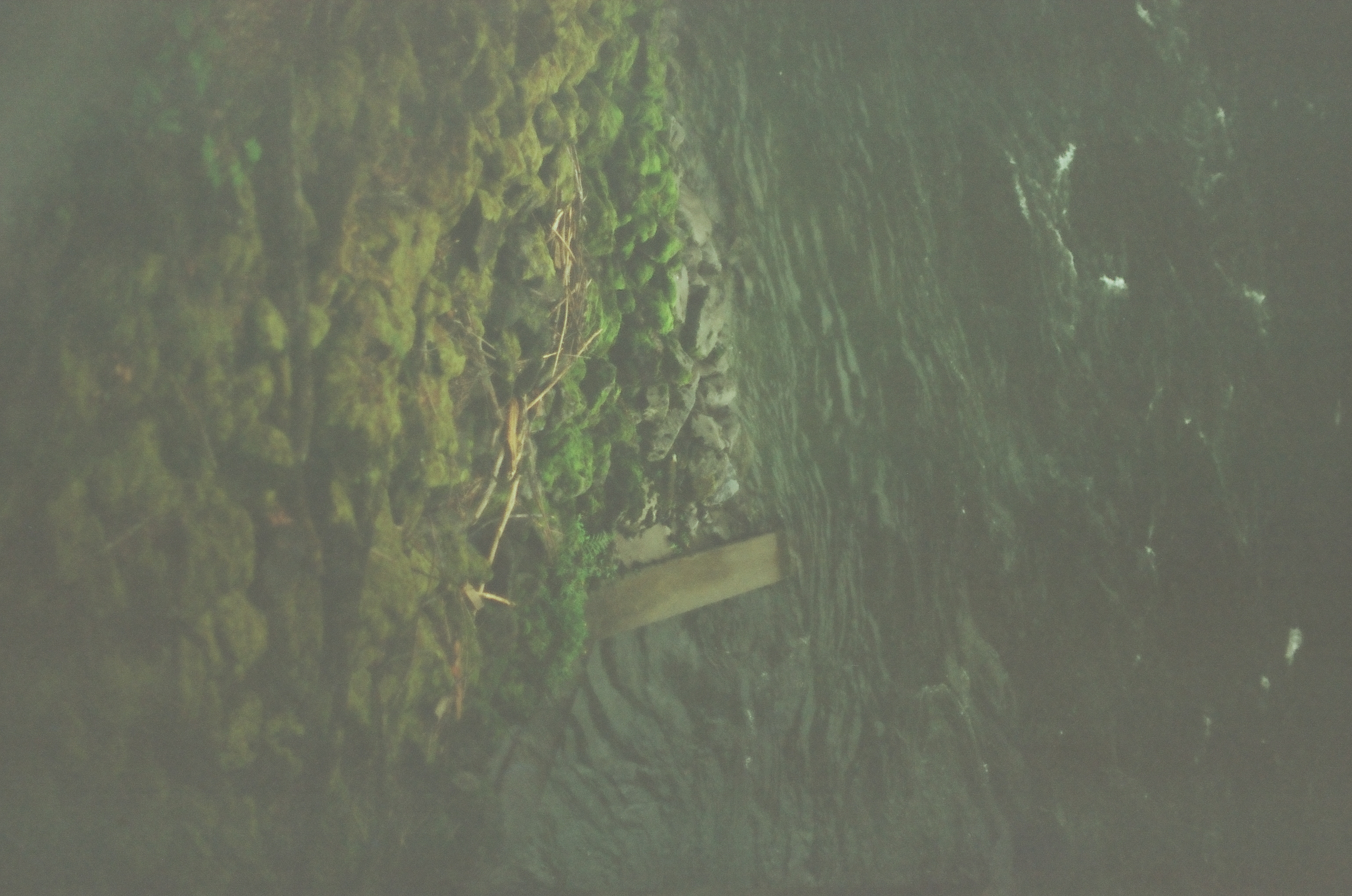 Clear shallow water moves across green submerged stones and small pale fragments near the bank.
