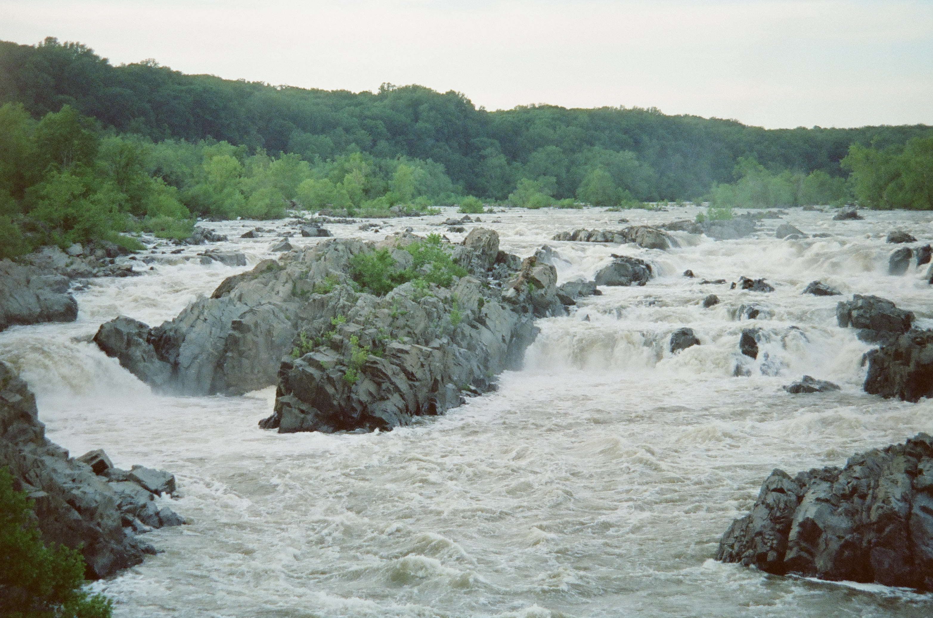 A wide river breaks into churning white rapids across dozens of exposed gray rocks beneath a forested ridge and overcast sky.