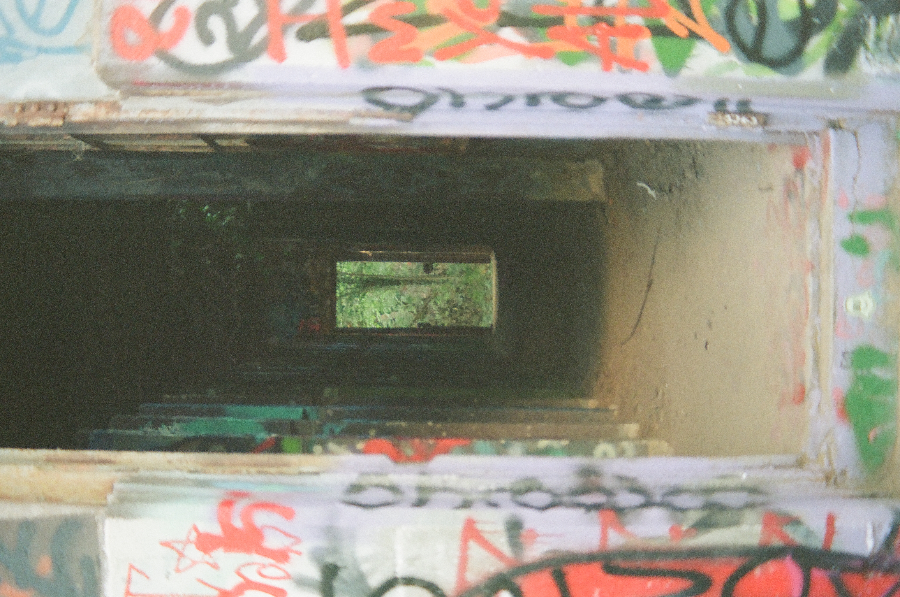 A doorway covered in dense graffiti opens onto a dark corridor with a row of receding openings ending in a patch of green foliage.