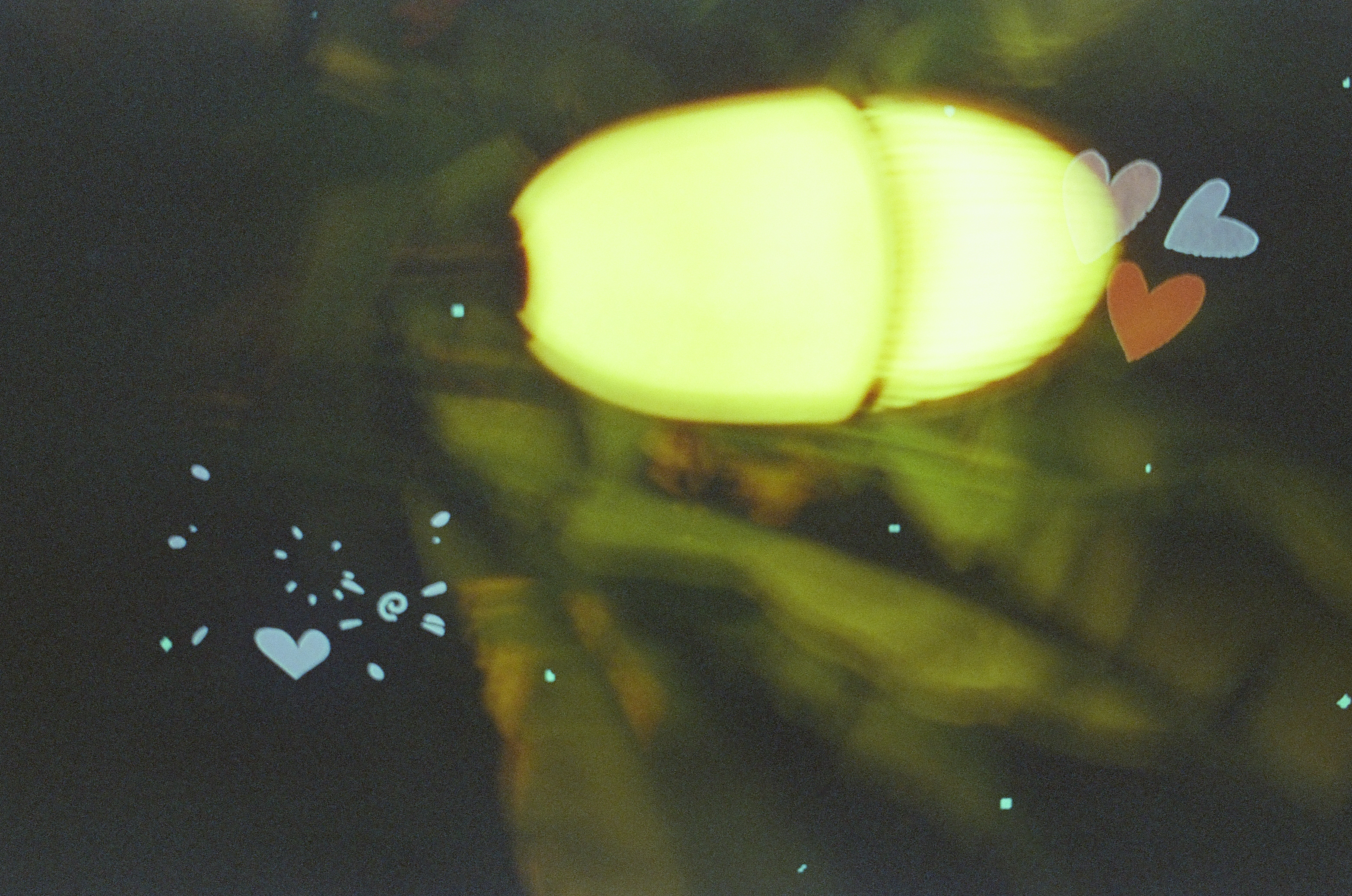 Small heart shapes hover above a glowing oval lamp surrounded by dark green reflected foliage.
