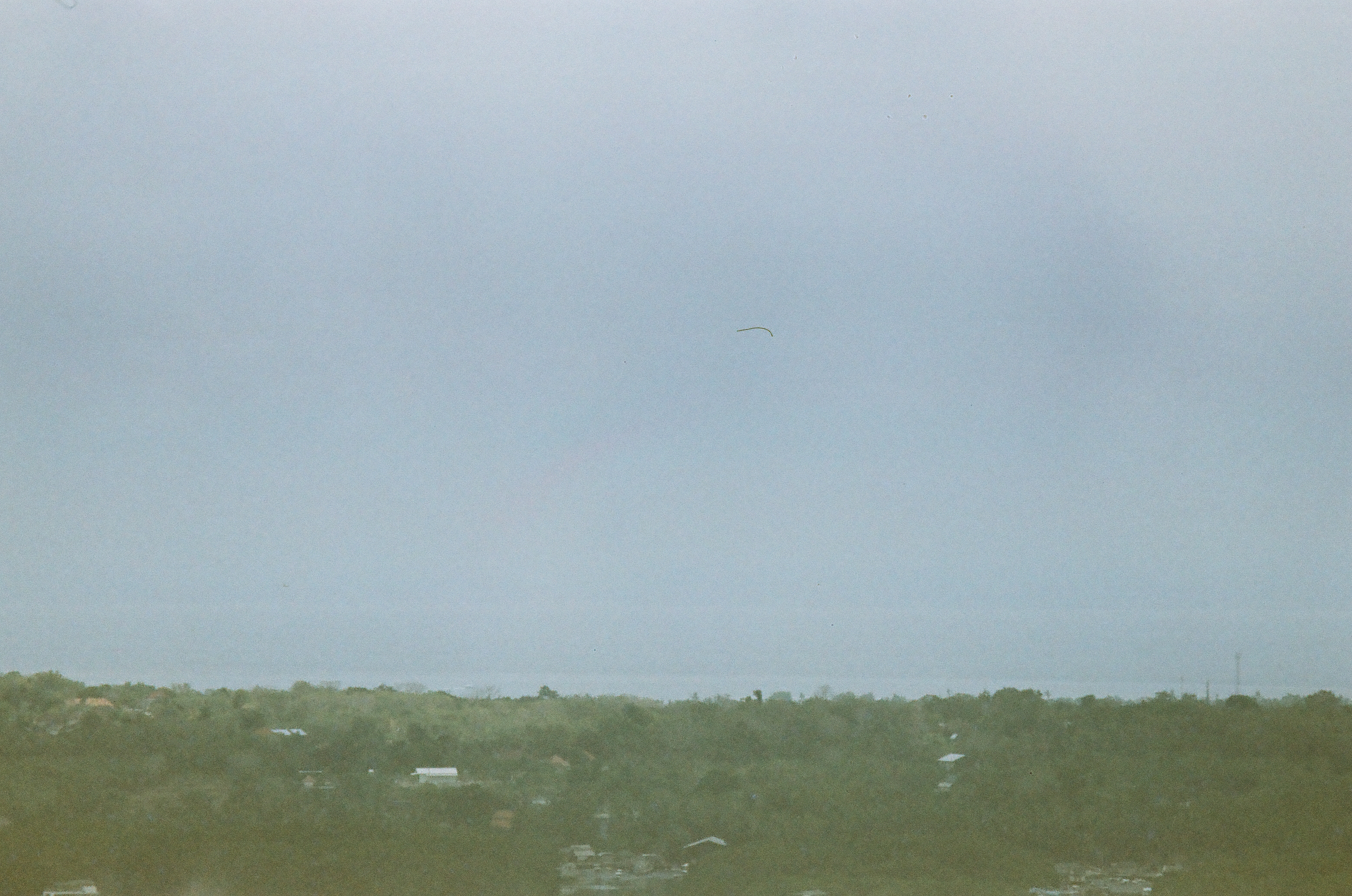 A low tree-lined shore runs beneath a broad pale sky, seen across calm water from the moving boat.