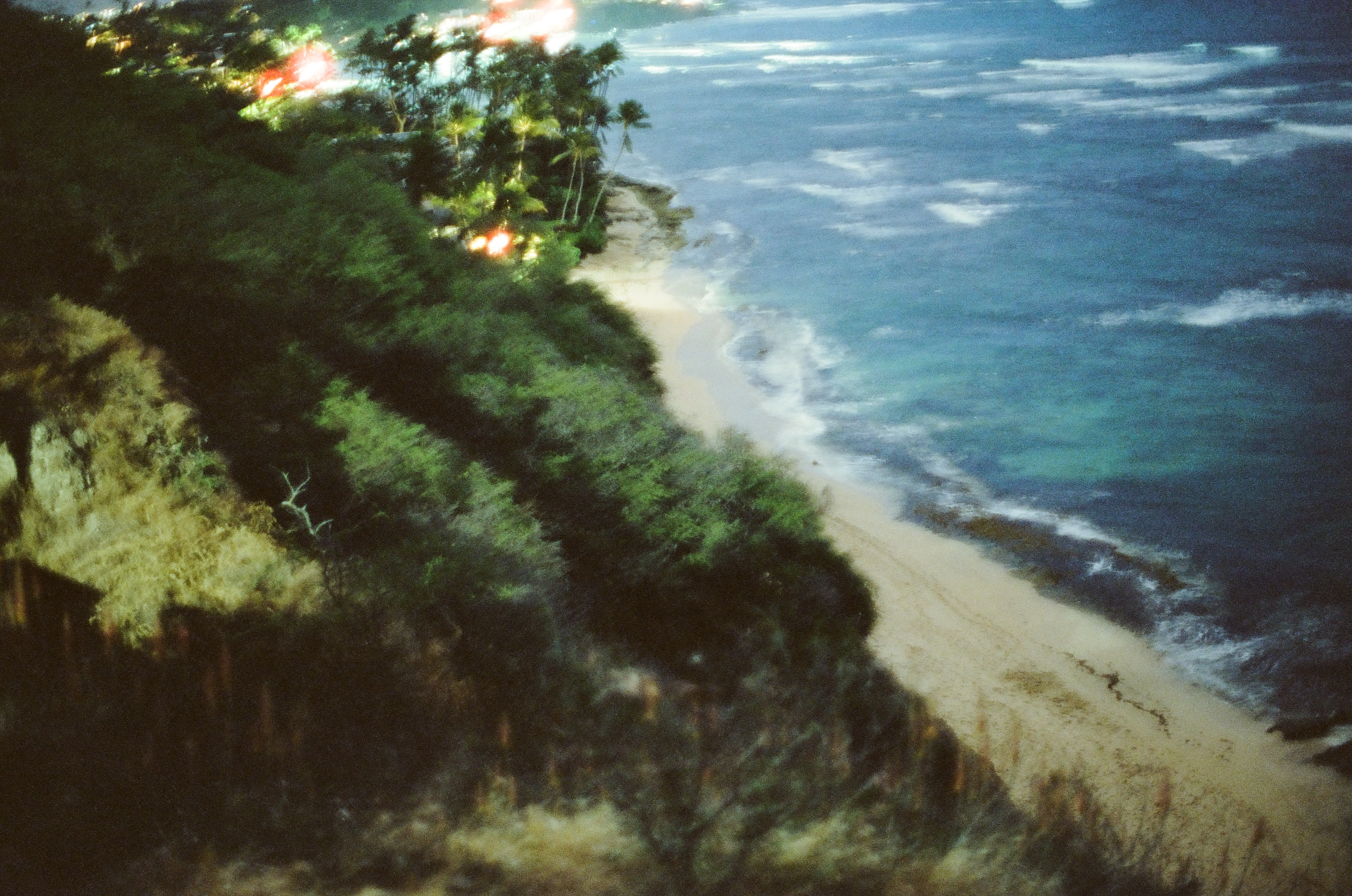 A narrow sandy beach and pale surf curve below dense trees in a dark blue elevated coastal view.