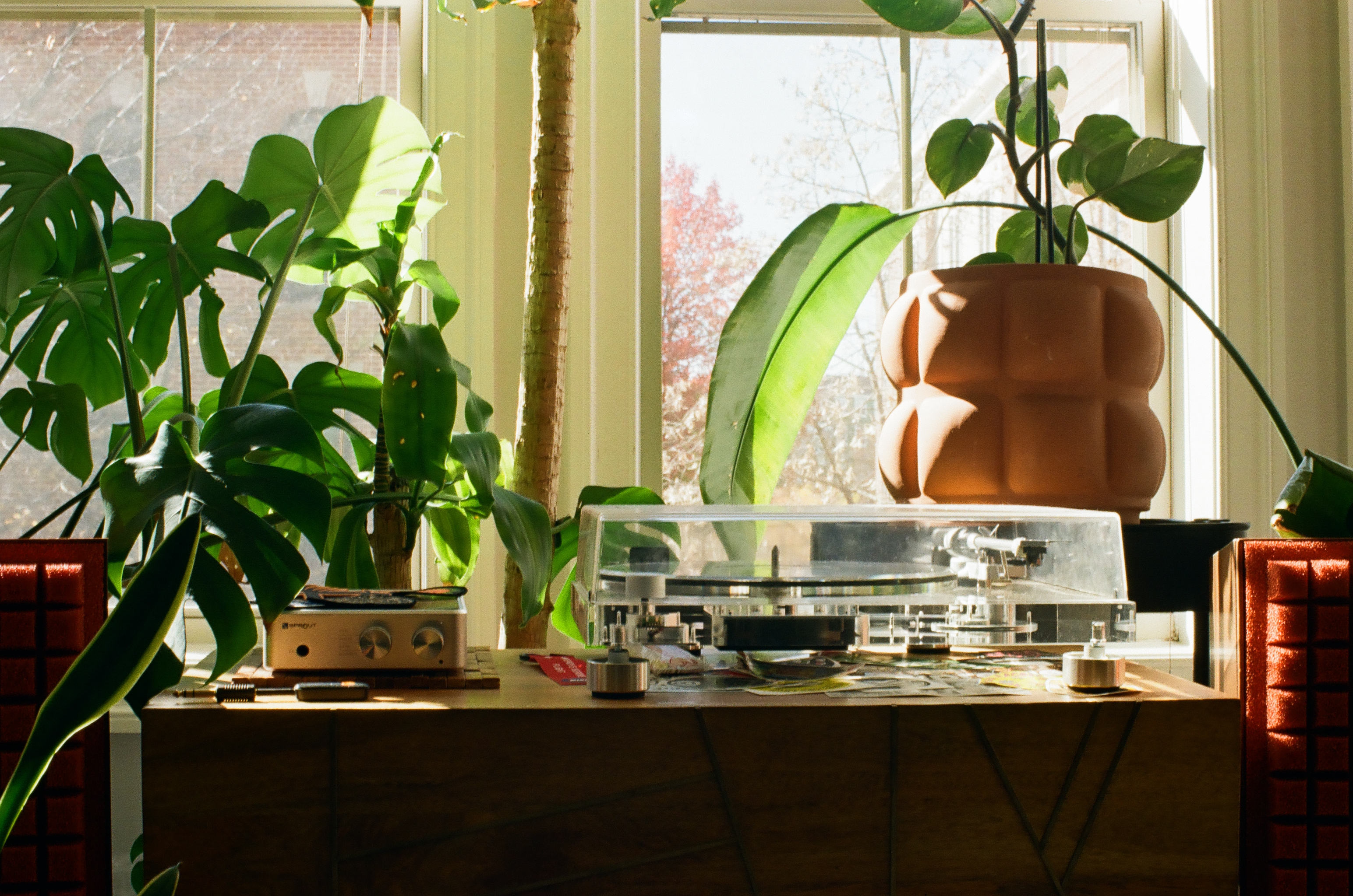 A turntable under a clear dust cover sits on a wooden console between two red lattice speakers, surrounded by leafy houseplants before a bright window.