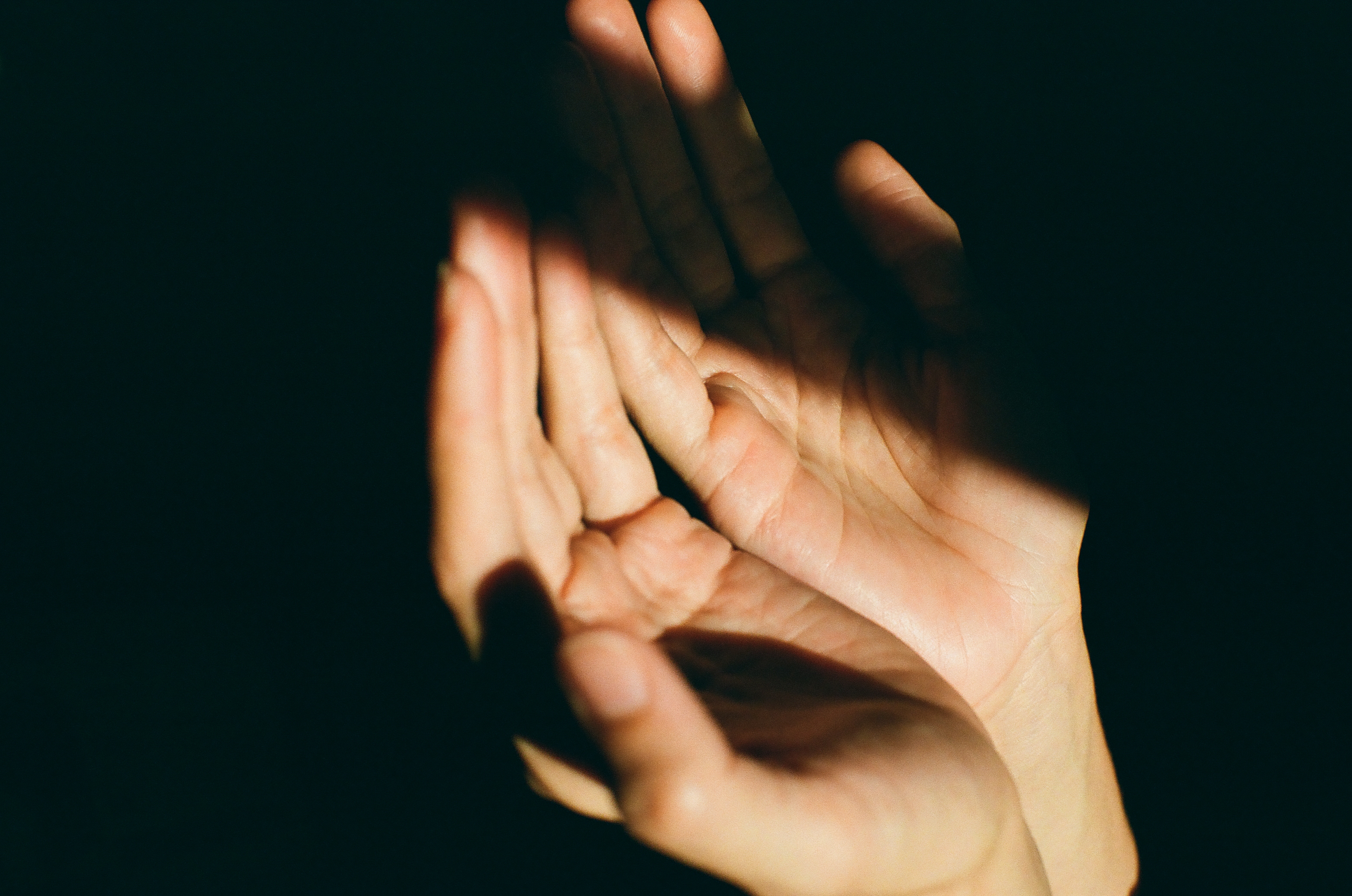 Two open hands catch warm light against a nearly black background with wrists disappearing into shadow.