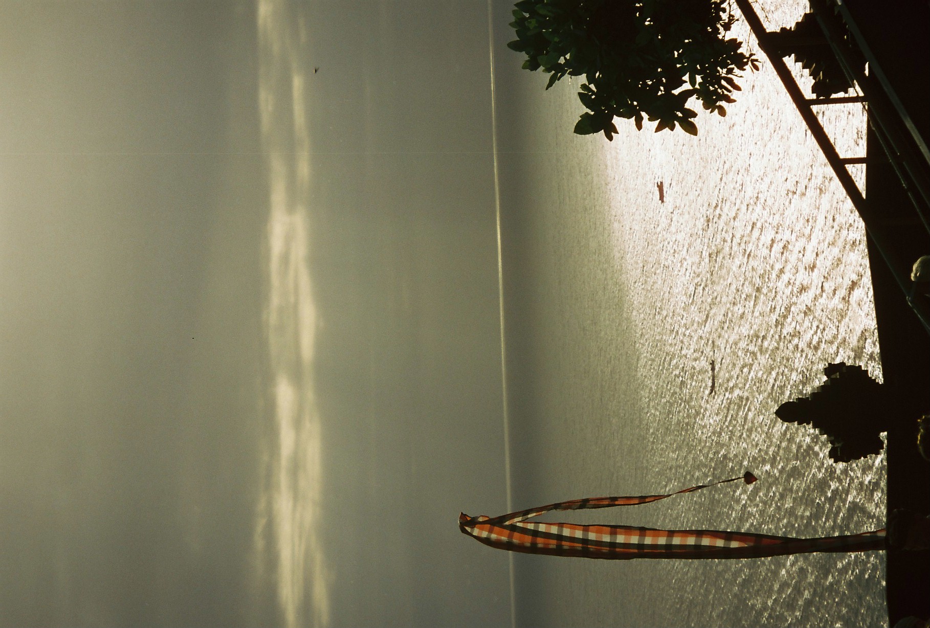Sunlight glazes the rippled sea gold beneath a dark tree silhouette, with a black, white, and orange checkered cloth banner hanging at the frame's edge.