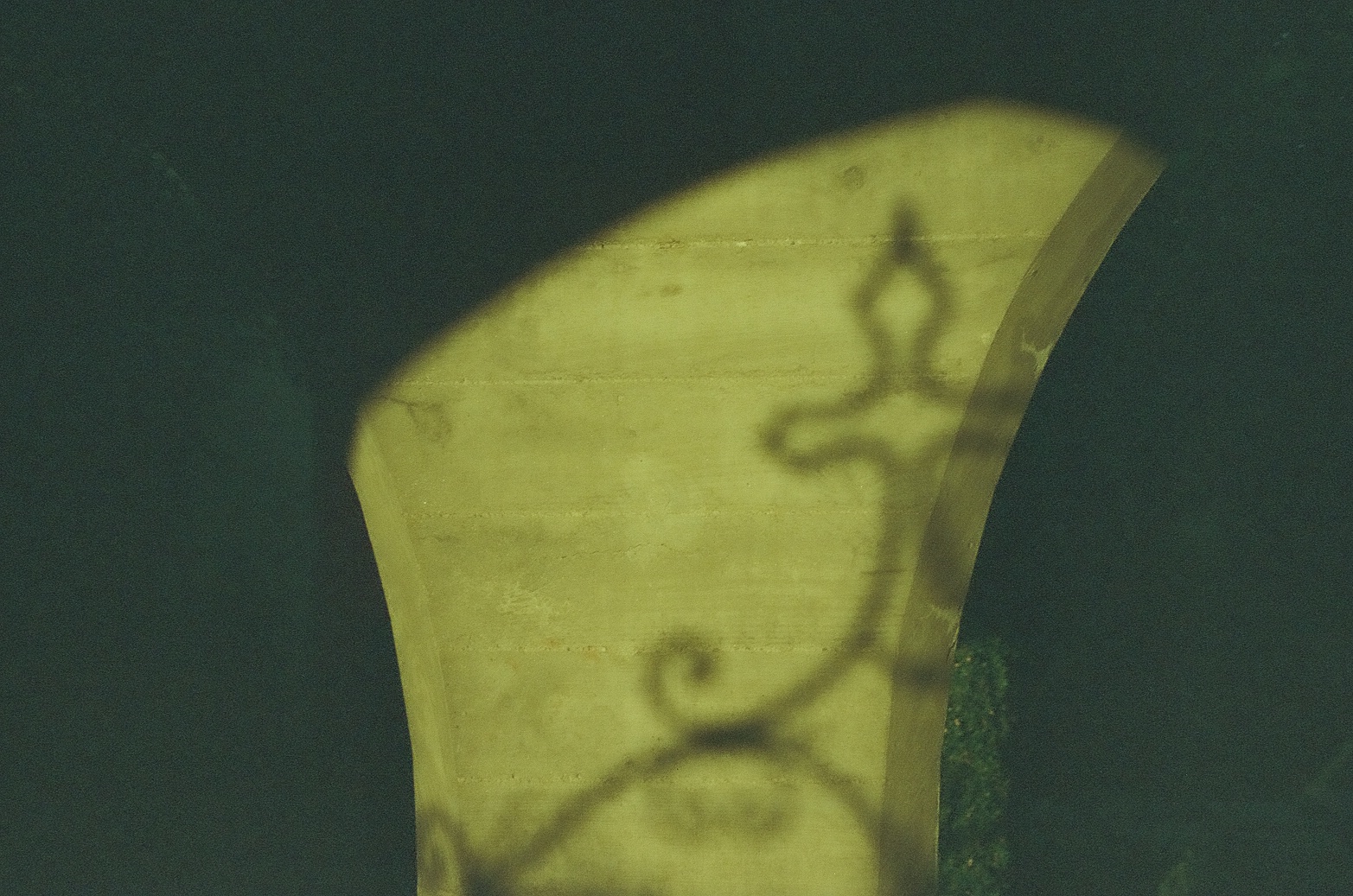 Curled ironwork throws a dark looping shadow across a pale curved wall brightened by yellow-green sunlight.