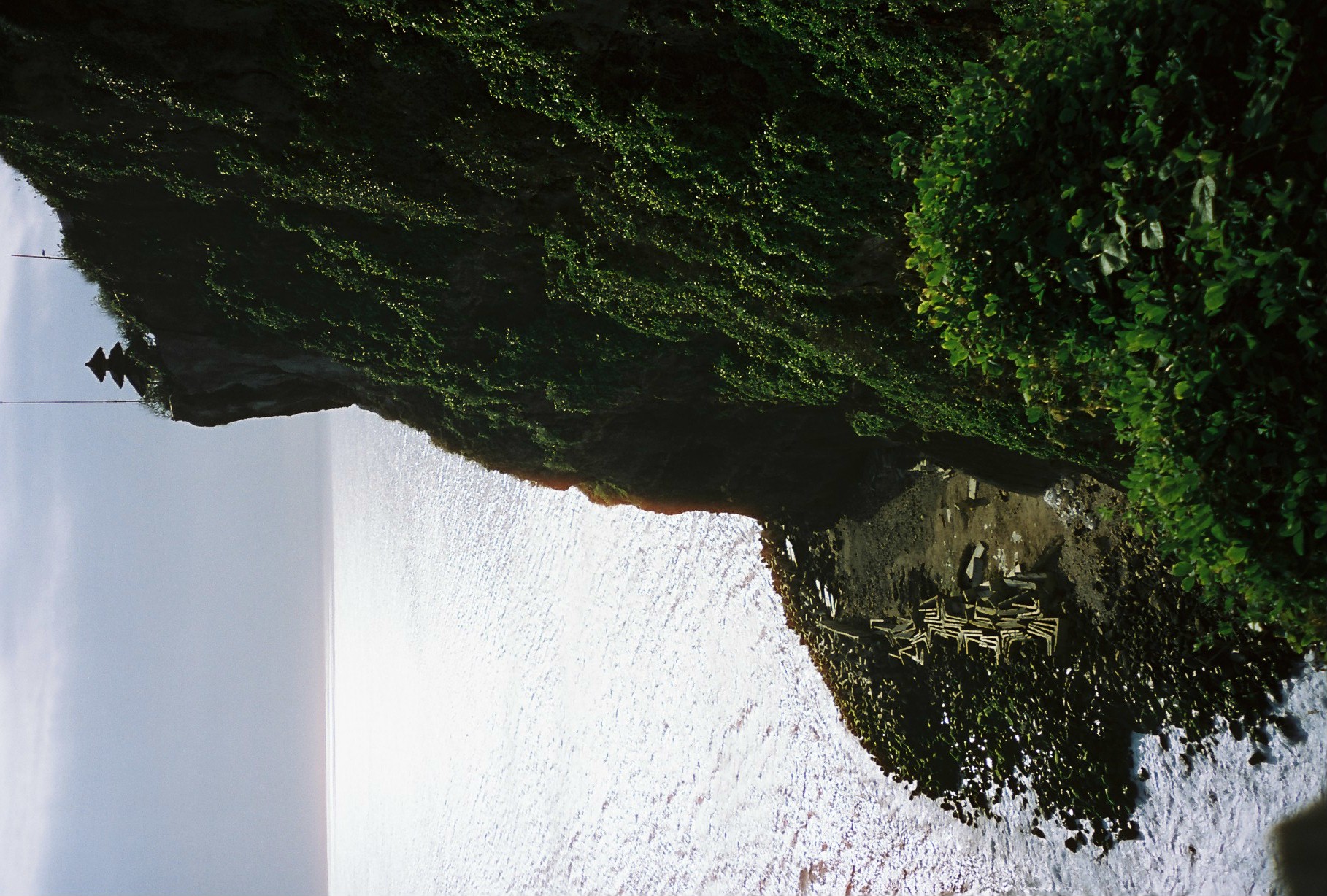 A vegetated cliff face plunges toward pale surf, with a cluster of wooden planks resting on the rocky shore below and two birds crossing the sky above.