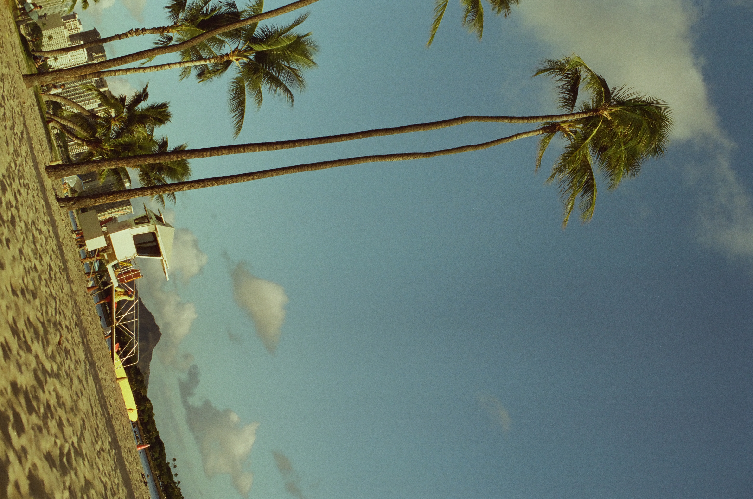 Palm fronds and trunks cross overhead against a pale sky, framing a distant white lifeguard tower, yellow board, and mountain far below.