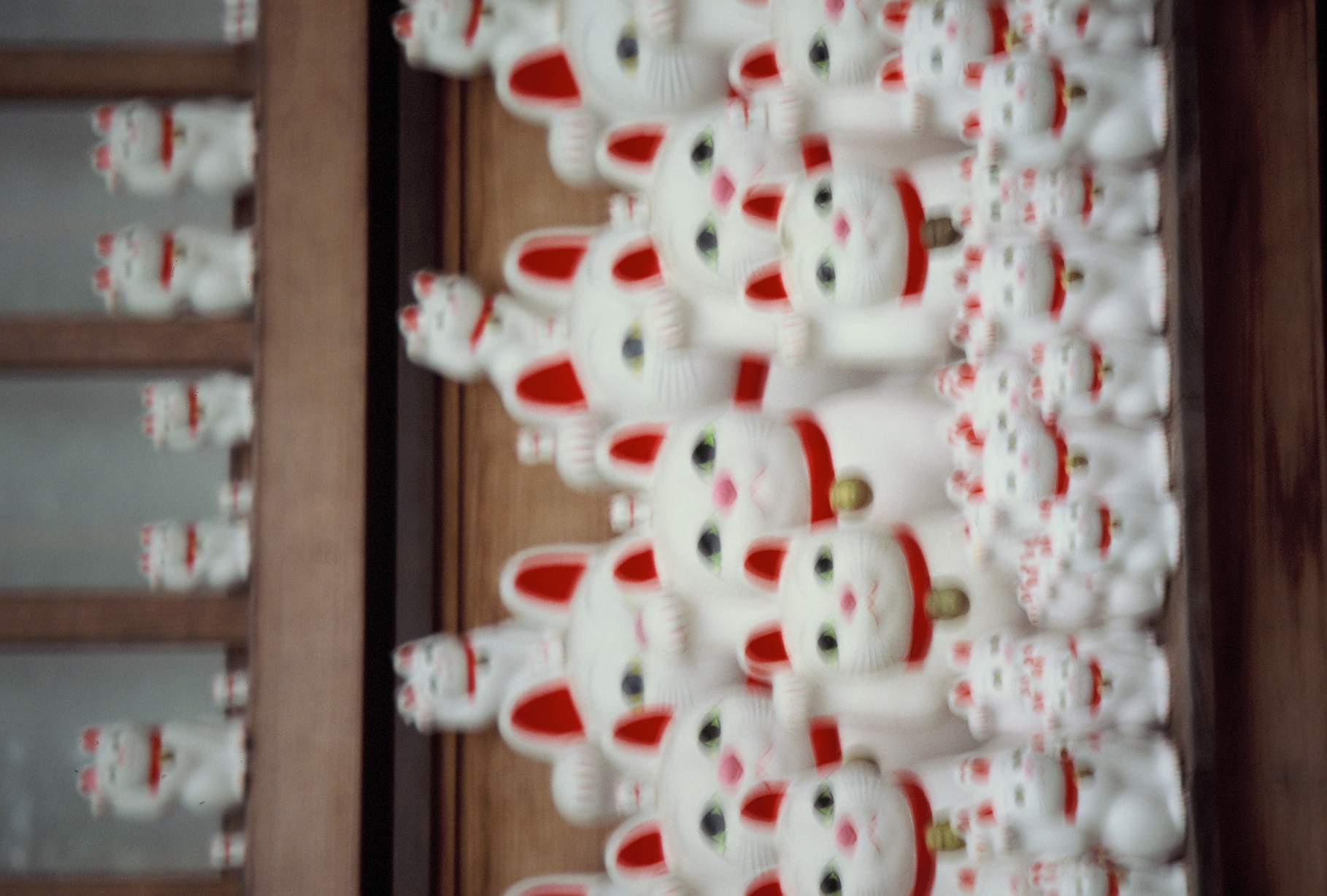 Tiered wooden shelves hold dozens of small white cat figurines, each with a red collar and one paw raised.