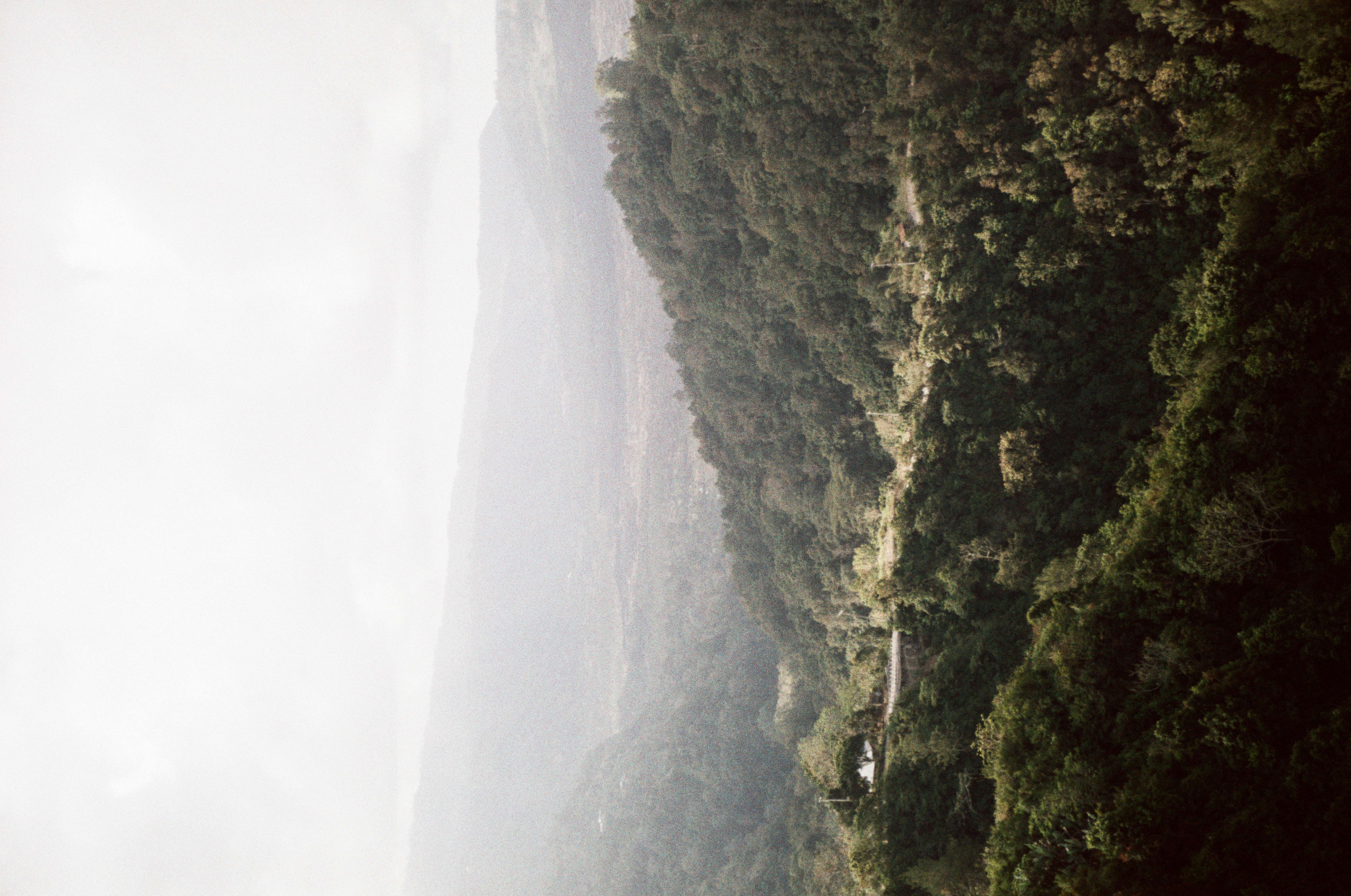 Dense green trees cover layered ridges that recede toward pale distant terrain beneath a bright, nearly white sky.