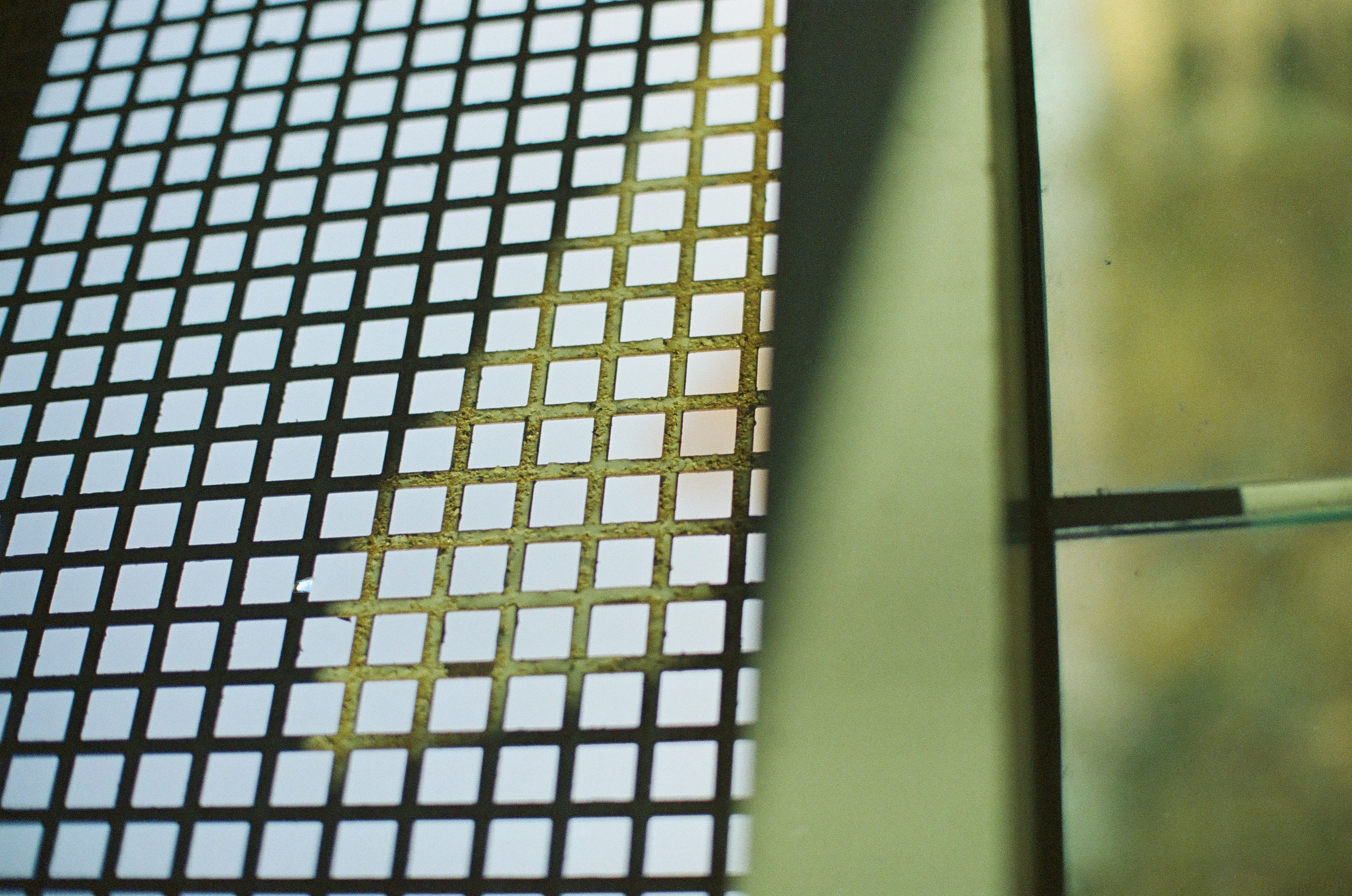 A square grid casts dark pattern and bright highlights beside a softly lit pale green wall.
