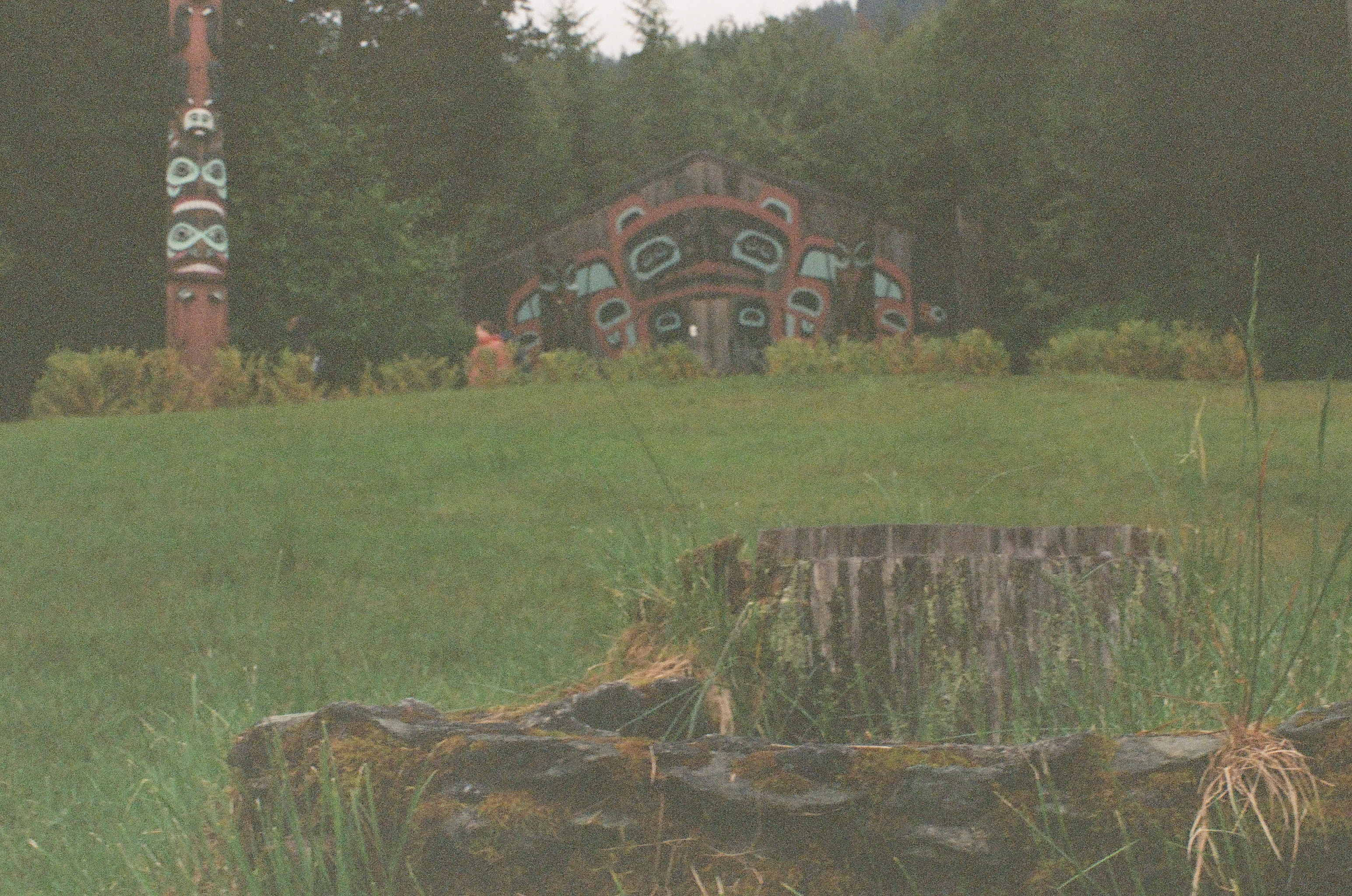 A low painted structure and tall carved pole stand beyond cut stumps in a grassy clearing.