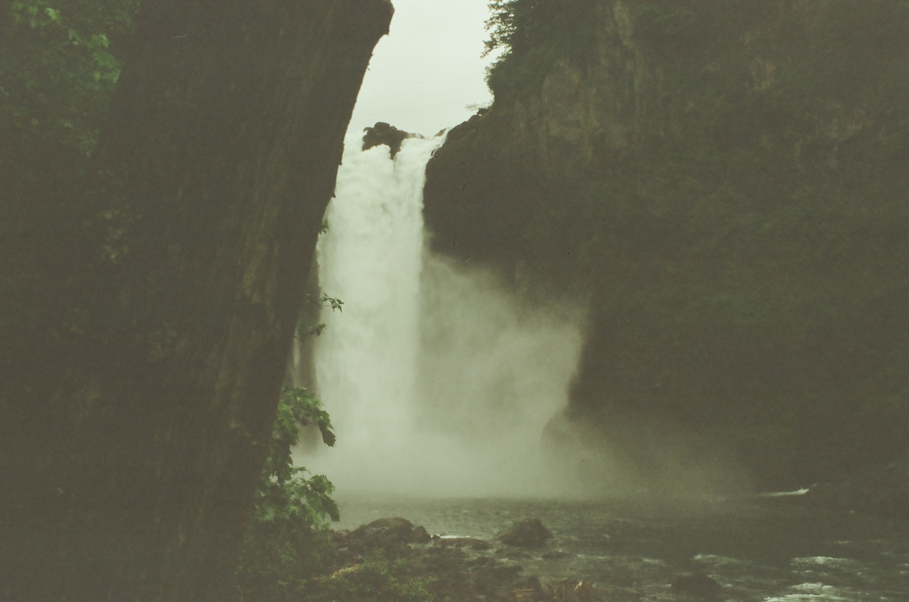 Two dark tree trunks frame a hazy waterfall and bright river inside dense forest.