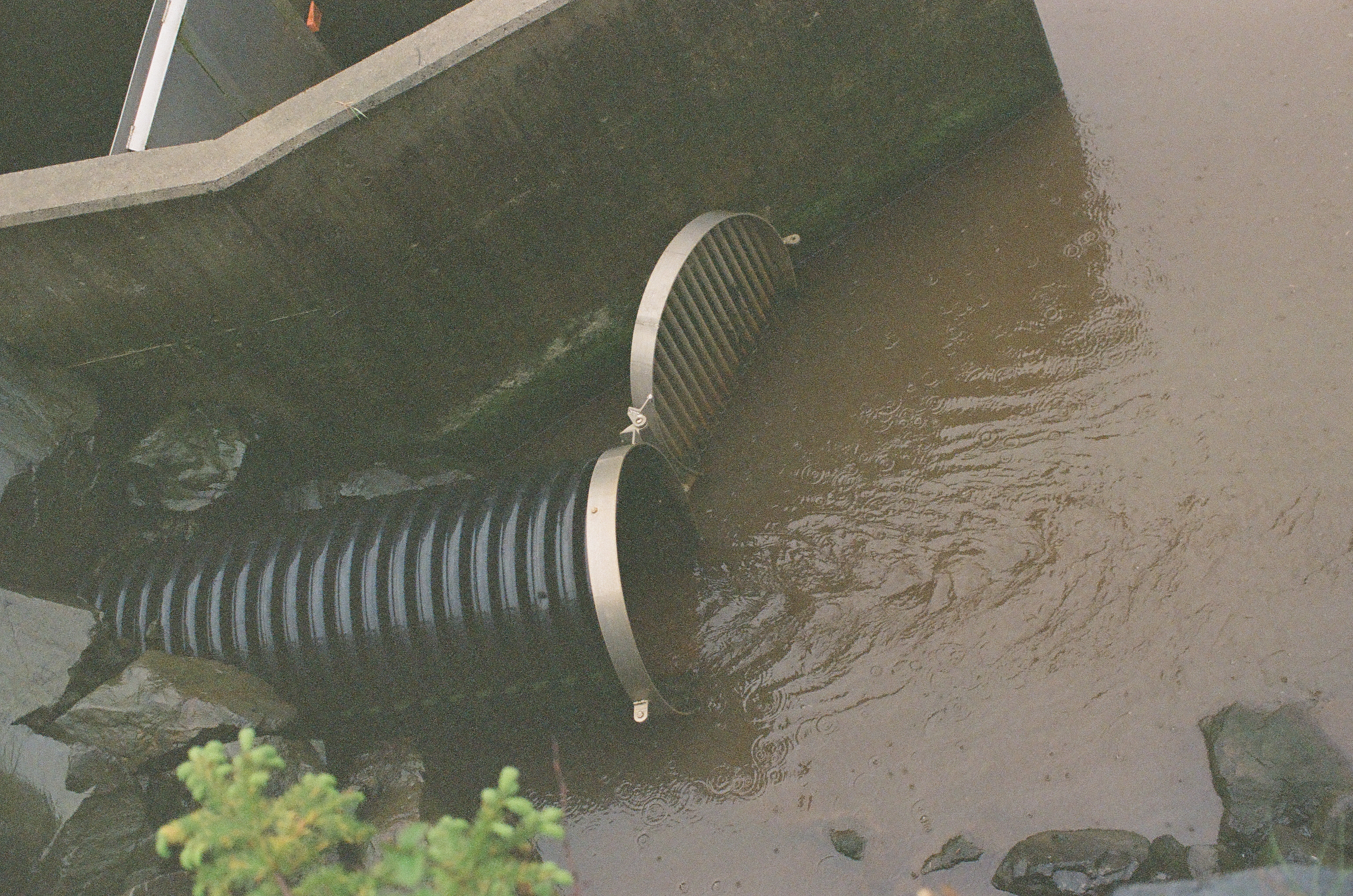Two black corrugated pipes emerge from a concrete channel above muddy water and small shoreline stones.