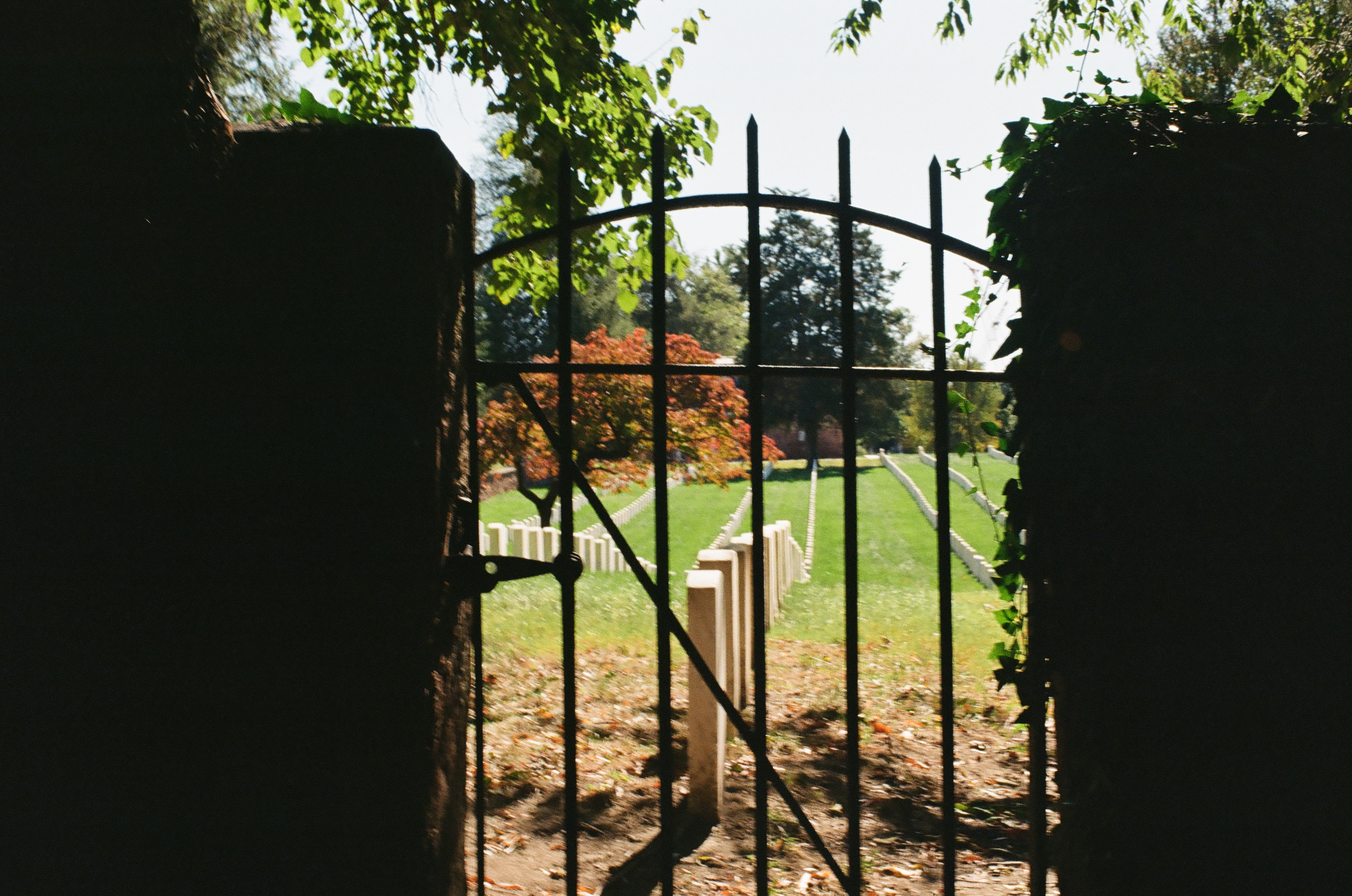 A black iron gate between brick piers opens toward bright grass, trees, and rows of low pale markers.