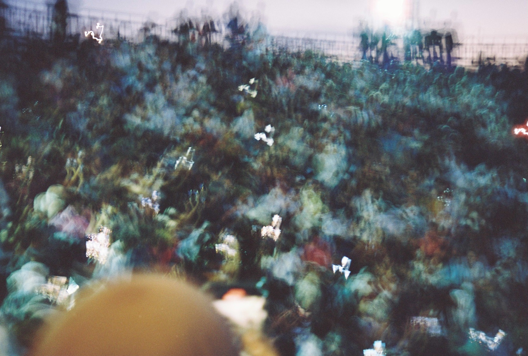 Blurred green foliage, pale figures, and scattered highlights sweep diagonally across a crowded outdoor scene.
