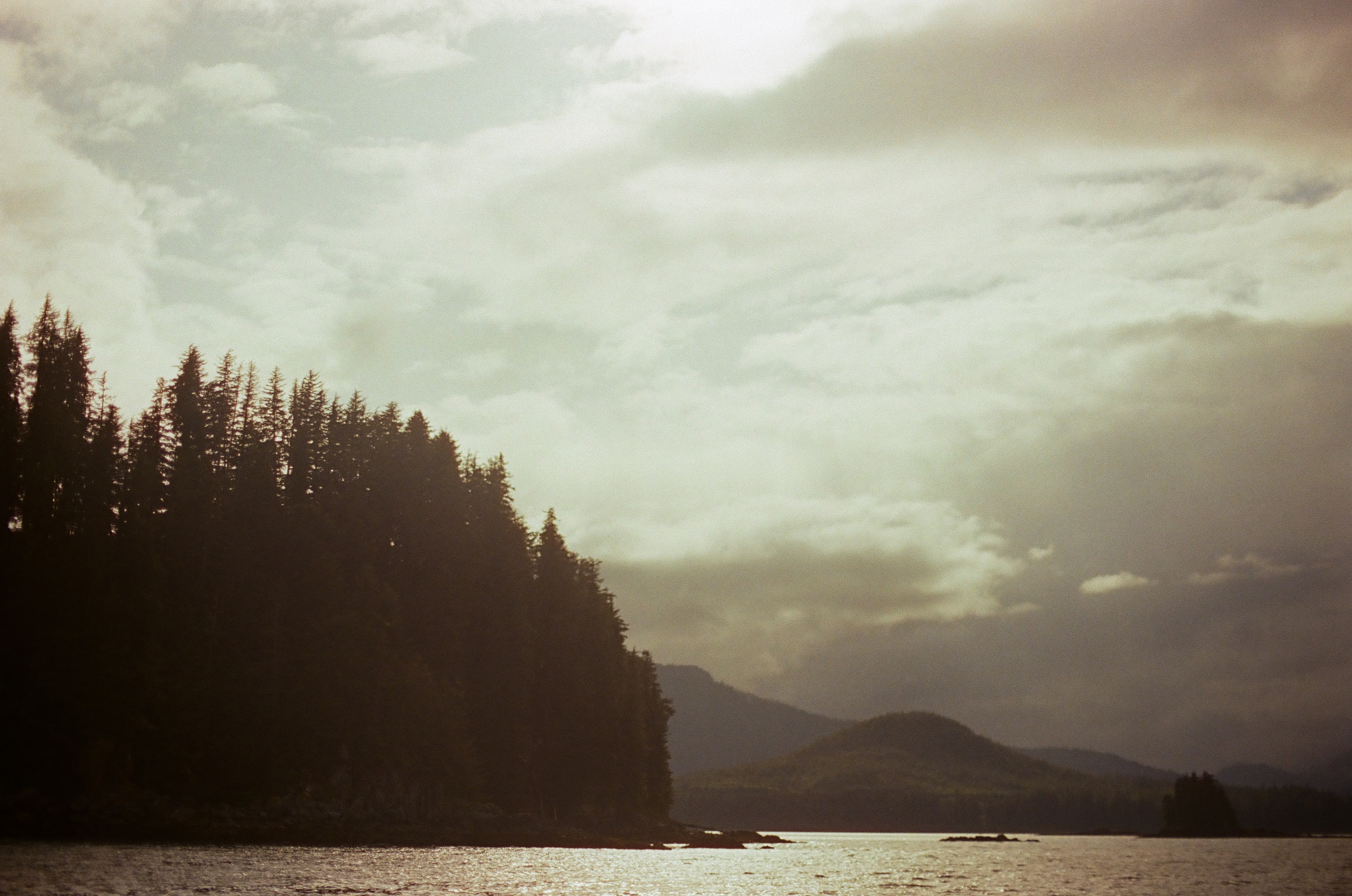 Tall conifers darken the near shore beside layered hills, pale water, and a cloud-filled sky.