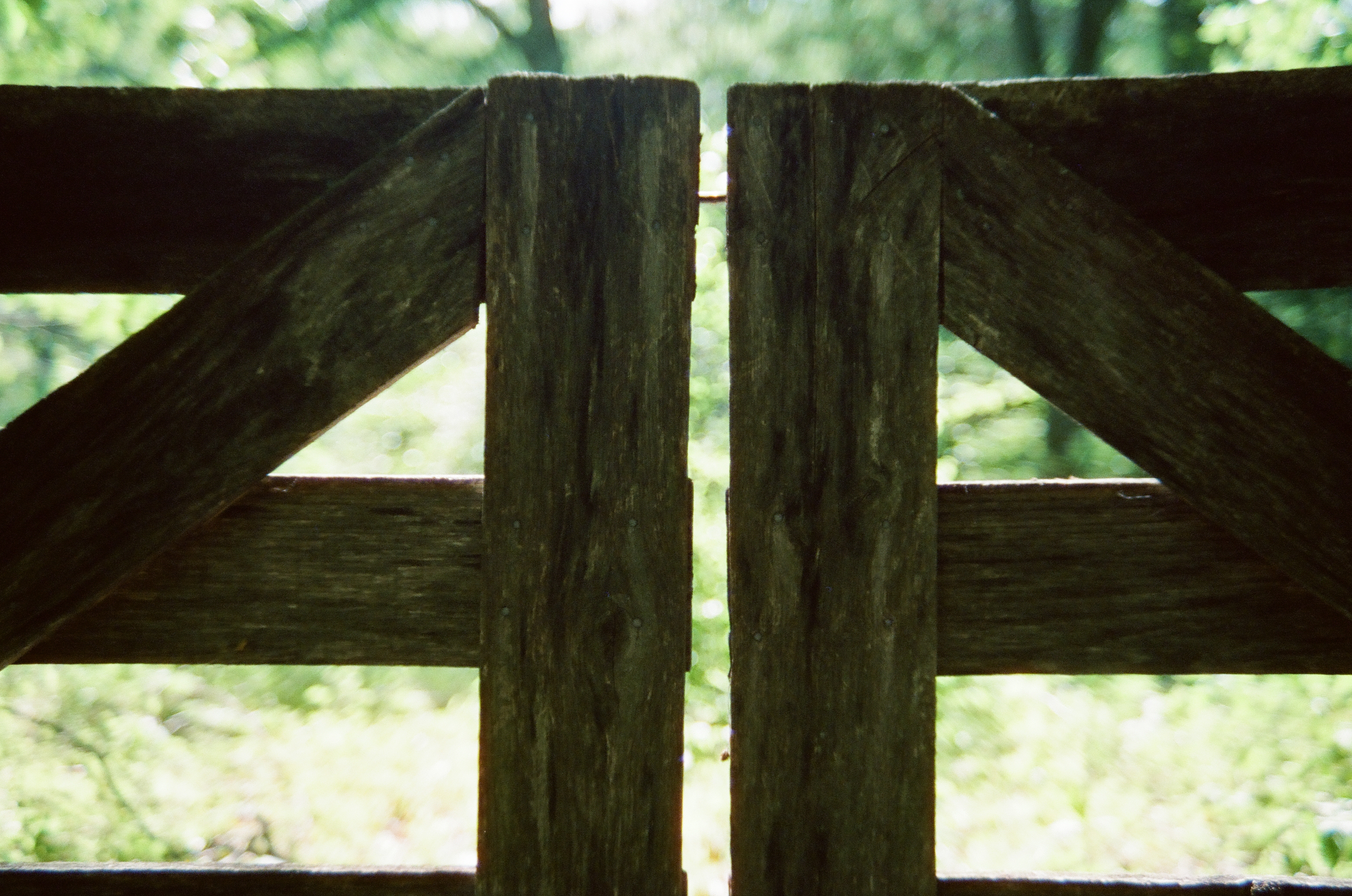 Two vertical wooden gate posts meet at a narrow gap, framed by diagonal cross braces against a blurred green forest background.