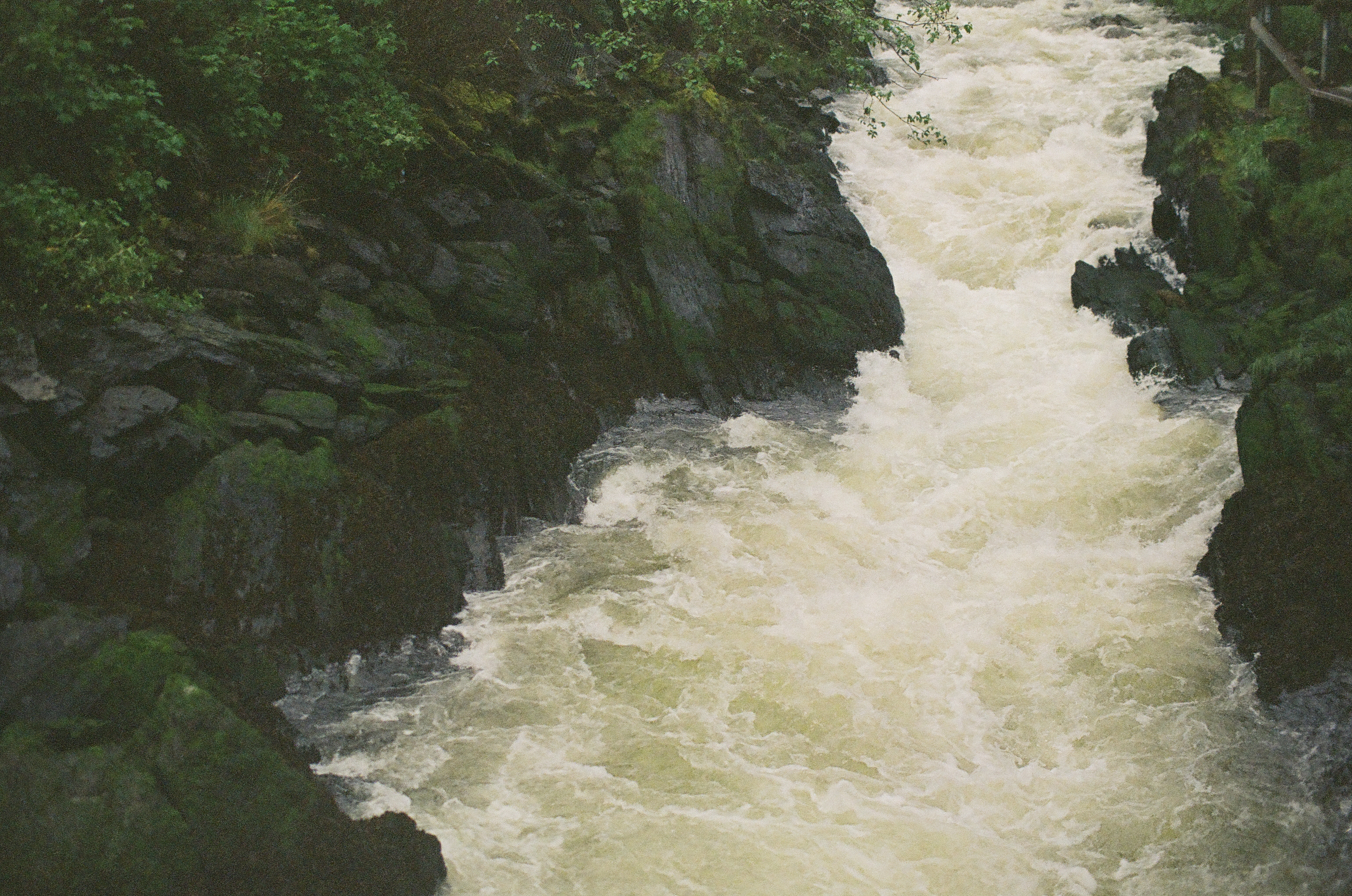 Foaming whitewater surges through a narrow rocky channel bordered by dark green vegetation.