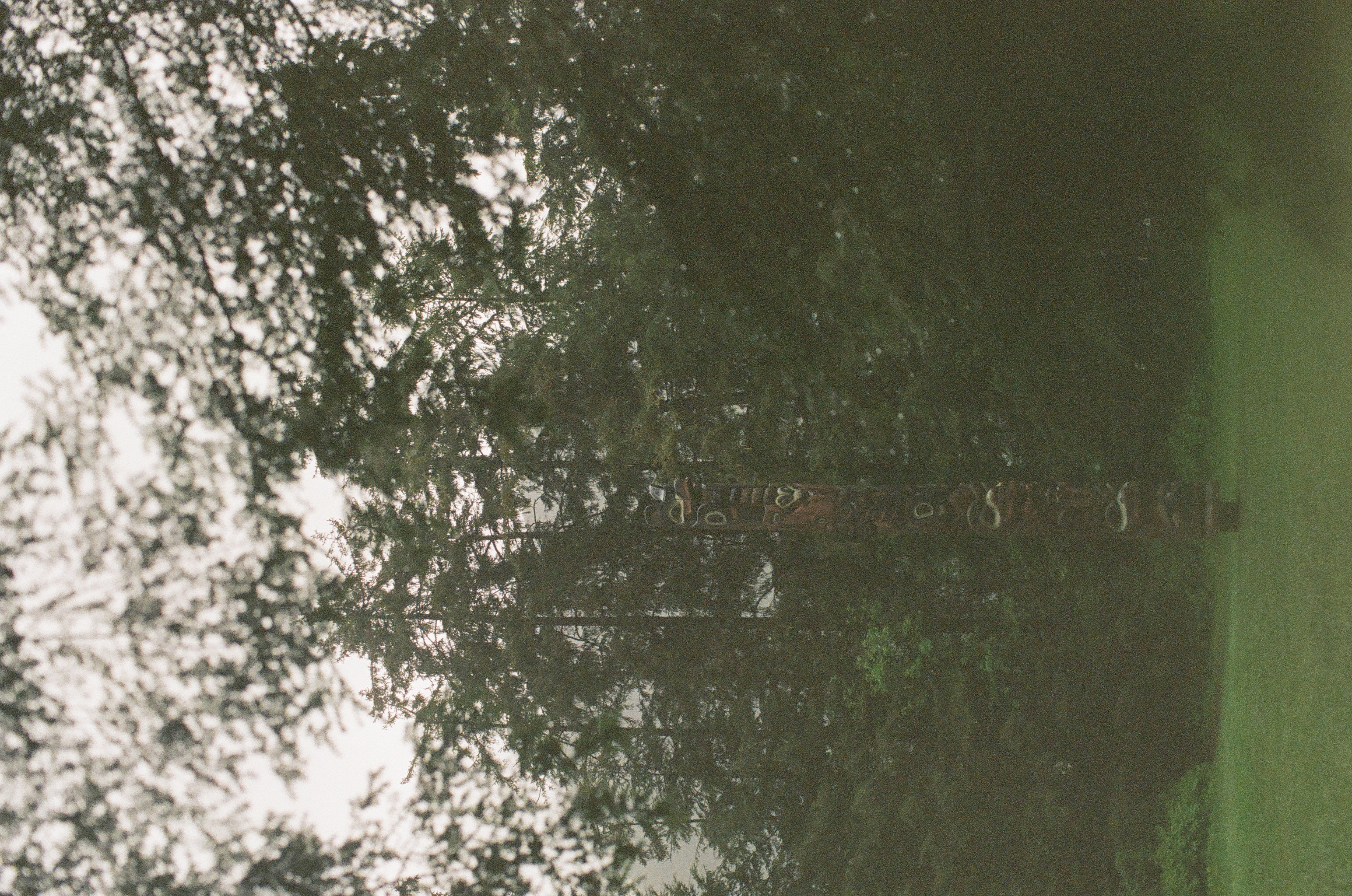 A broad green lawn opens below mature trees beneath a pale gray overcast sky.