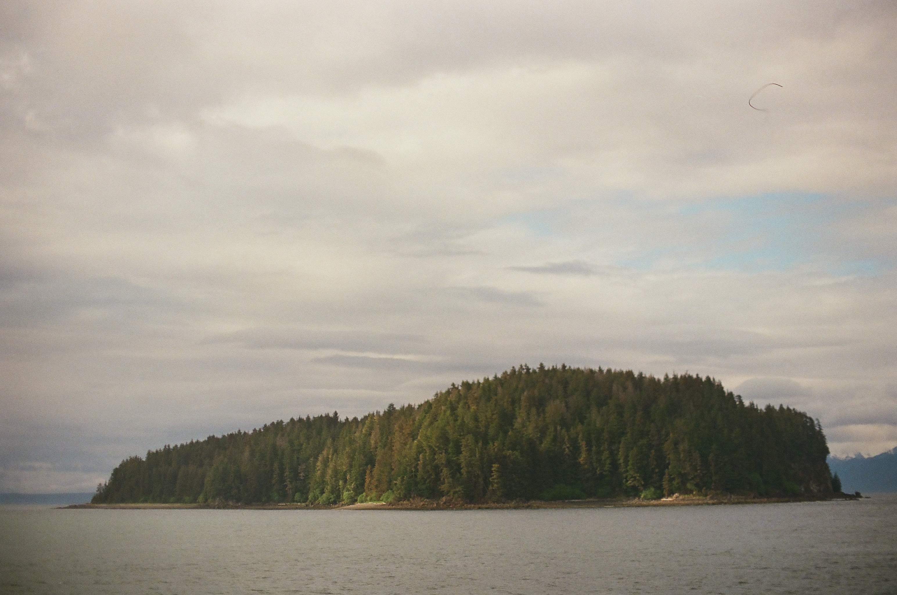 A compact forested island rests in calm open water beneath layered gray and pale clouds.