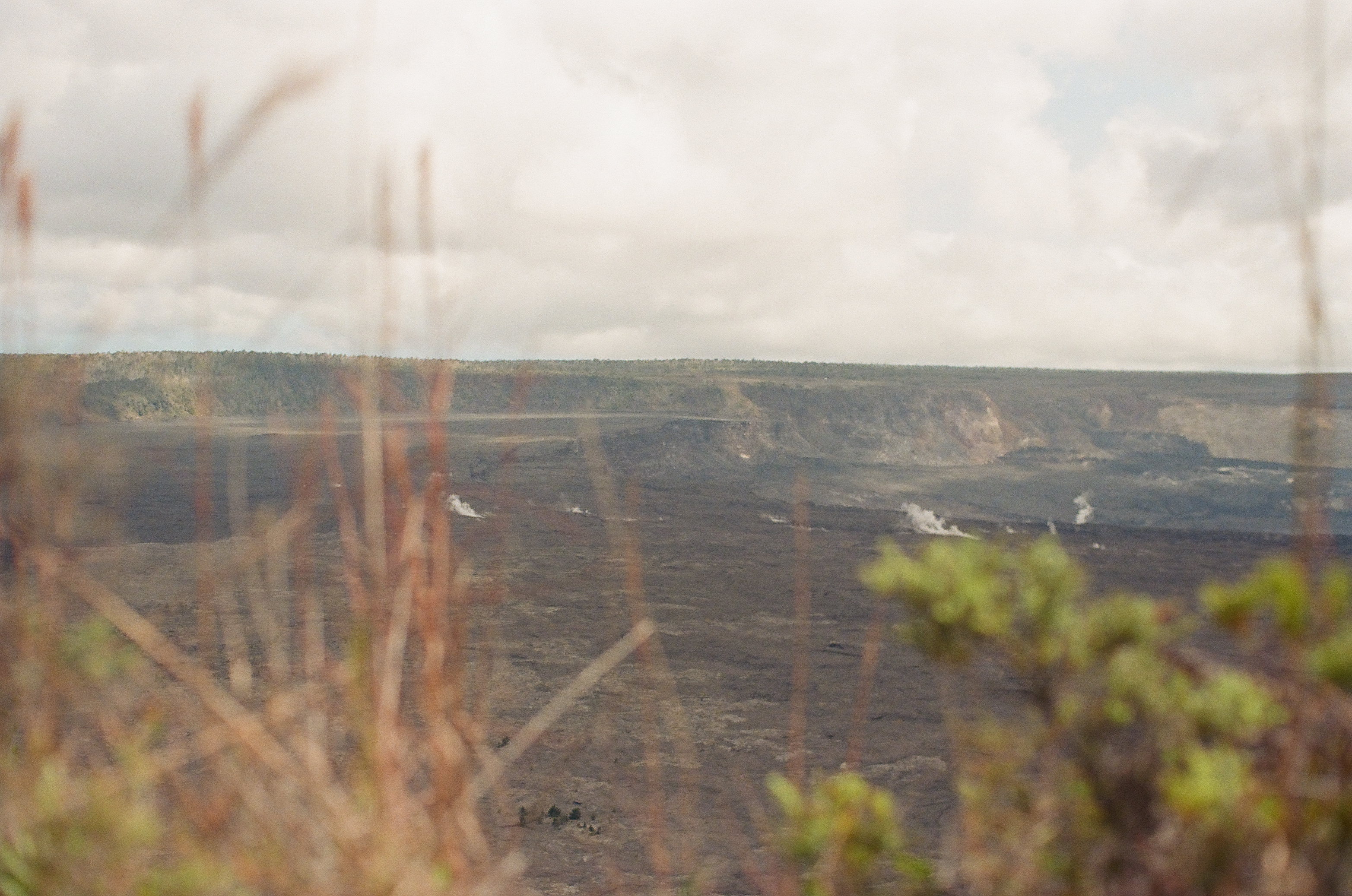 Dry stems and green shrubs blur before a dark crater streaked with several pale steam plumes.