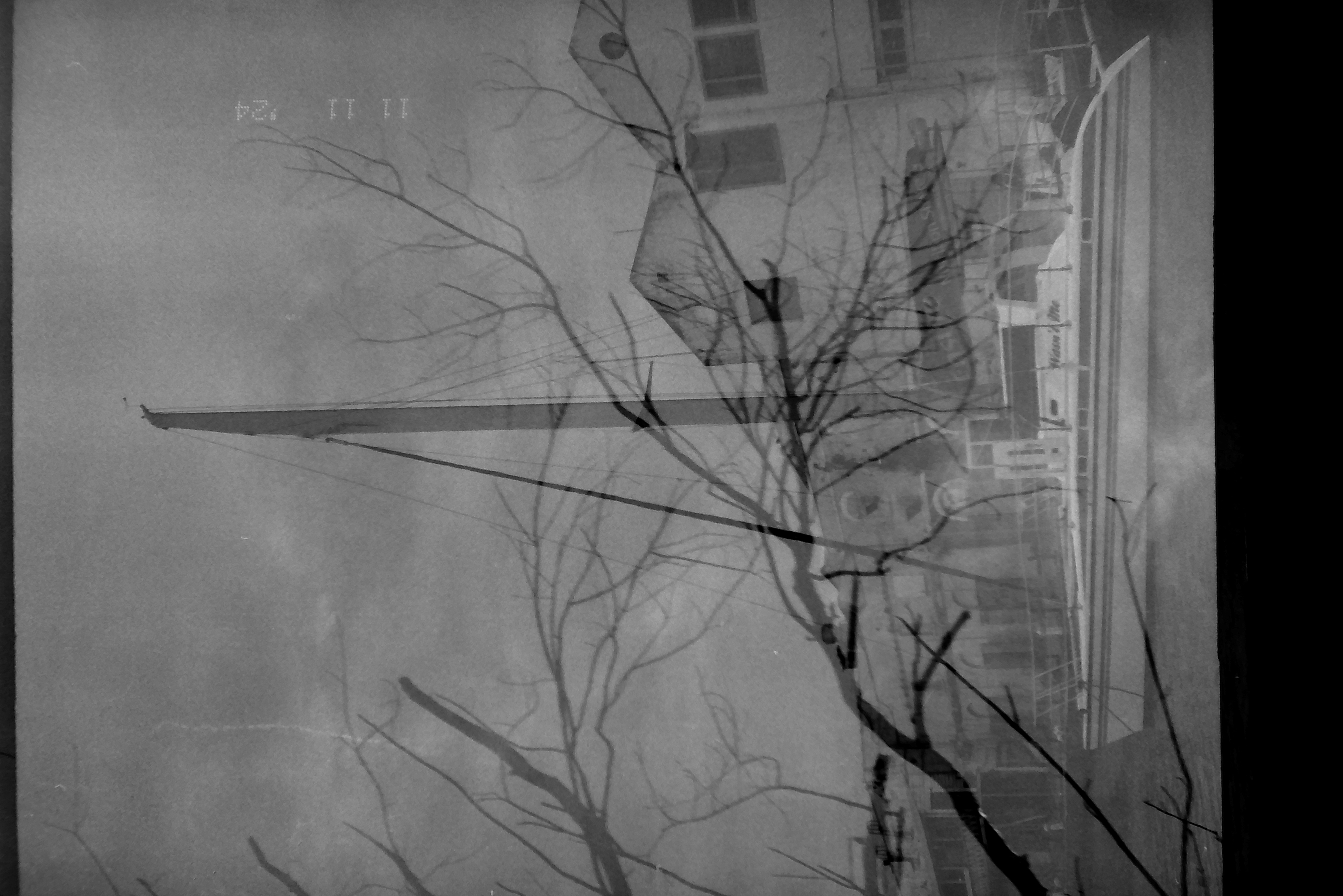 Bare tree branches overlay a moored sailboat, tall mast, low buildings, and gray sky in a monochrome double exposure.