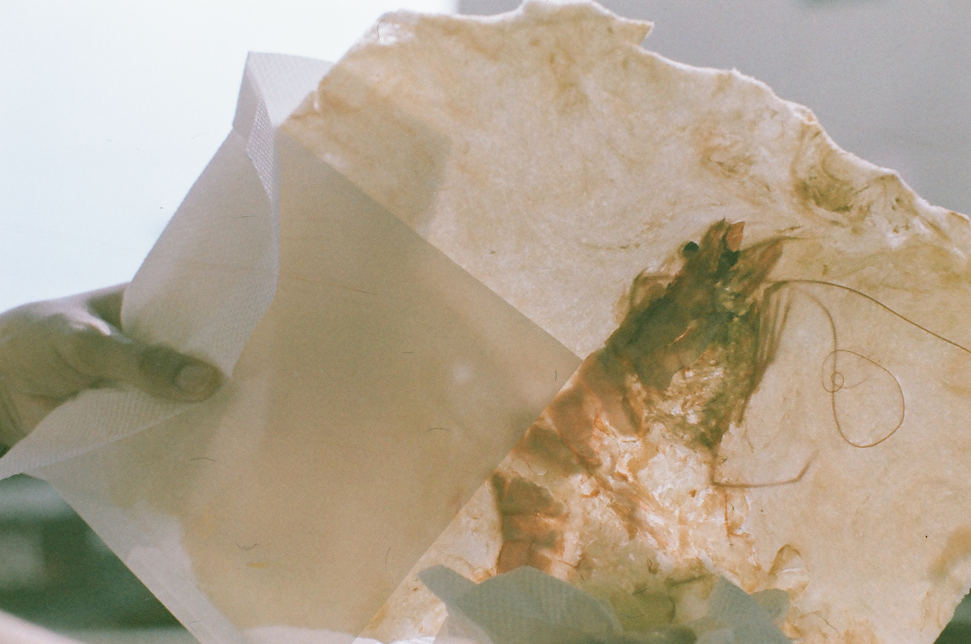A translucent prawn cracker is held up against the light in its paper sleeve, the flattened shrimp visible glowing amber inside.