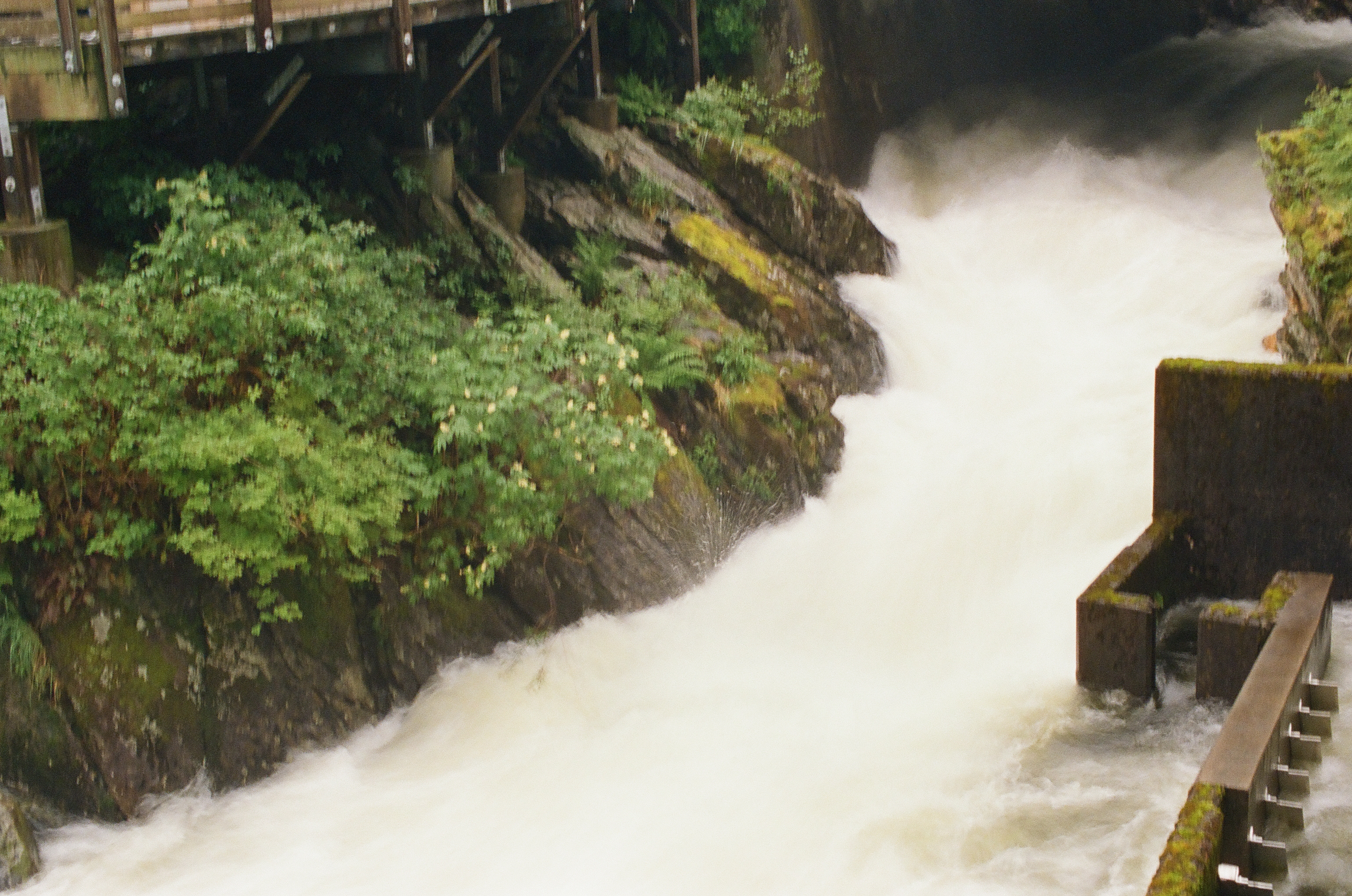 A bright torrent rushes past mossy rock beneath the edge of a weathered wooden platform.