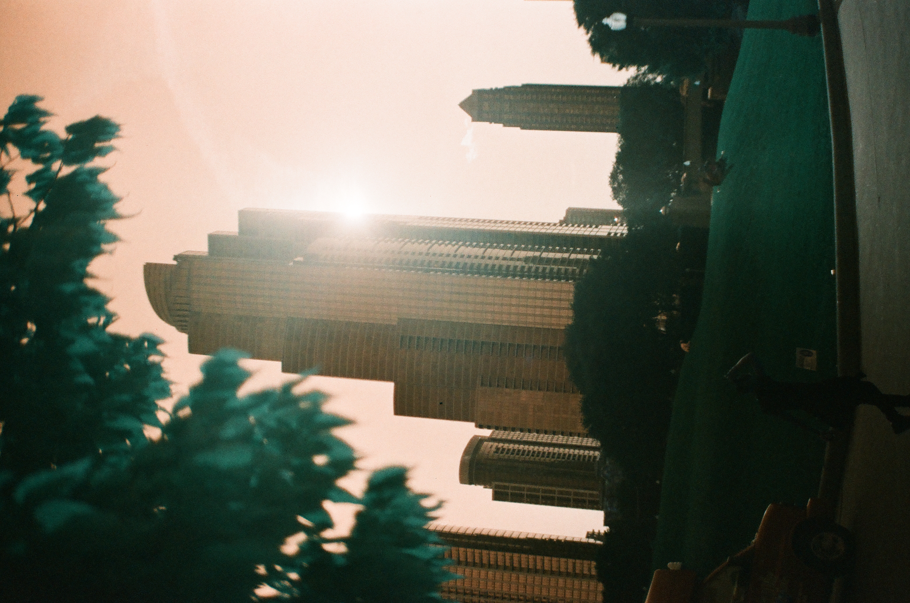 Sunlight flares behind a stepped tower framed by dark evergreen branches, a curved teal surface visible in the lower foreground.