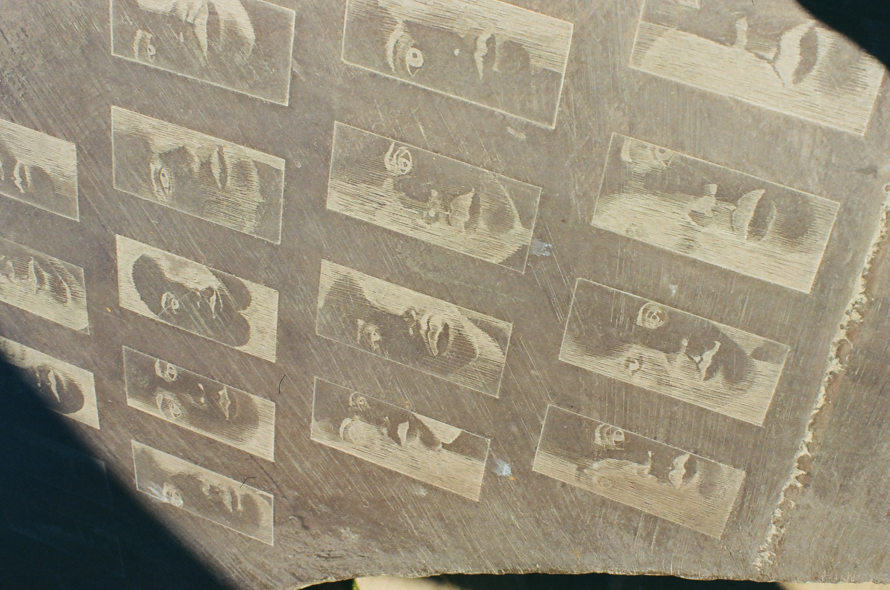 Rows of rectangular etched faces cover a sunlit gray stone panel, each rectangle framing eyes, a nose, or lips.